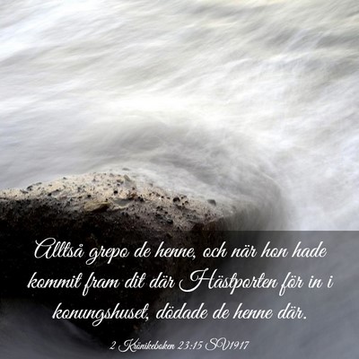 Picture 03 - 2 Krönikeboken 23:15 SV1917 - Alltså grepo de henne, och när hon hade kommit - Bible Verse Picture