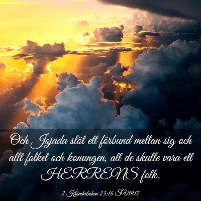 Picture 03 - 2 Krönikeboken 23:16 SV1917 - Och Jojada slöt ett förbund mellan sig och allt - Bible Verse Picture