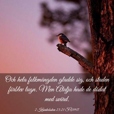 Picture 03 - 2 Krönikeboken 23:21 SV1917 - Och hela folkmängden gladde sig, och staden - Bible Verse Picture