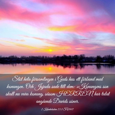 Picture 03 - 2 Krönikeboken 23:3 SV1917 - Slöt hela församlingen i Guds hus ett förbund - Bible Verse Picture