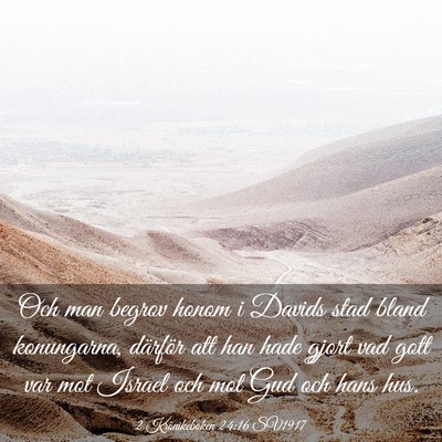 Picture 03 - 2 Krönikeboken 24:16 SV1917 - Och man begrov honom i Davids stad bland - Bible Verse Picture
