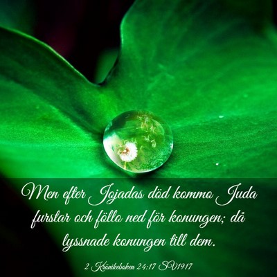 Picture 03 - 2 Krönikeboken 24:17 SV1917 - Men efter Jojadas död kommo Juda furstar och - Bible Verse Picture