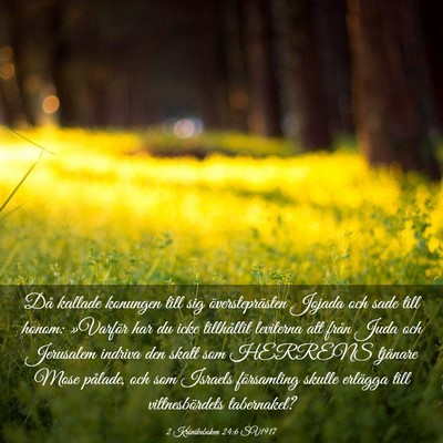 Picture 03 - 2 Krönikeboken 24:6 SV1917 - Då kallade konungen till sig översteprästen - Bible Verse Picture