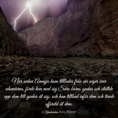 Picture 03 - 2 Krönikeboken 25:14 SV1917 - När sedan Amasja kom tillbaka från sin seger - Bible Verse Picture