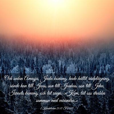 Picture 03 - 2 Krönikeboken 25:17 SV1917 - Och sedan Amasja, Juda konung, hade hållit - Bible Verse Picture