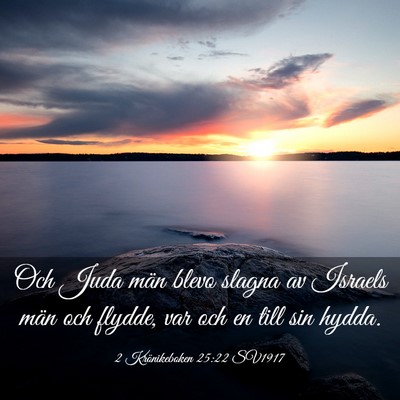 Picture 03 - 2 Krönikeboken 25:22 SV1917 - Och Juda män blevo slagna av Israels män och - Bible Verse Picture