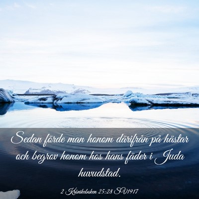 Picture 03 - 2 Krönikeboken 25:28 SV1917 - Sedan förde man honom därifrån på hästar och - Bible Verse Picture