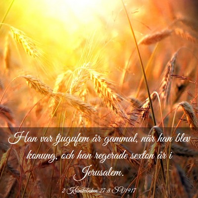 Picture 03 - 2 Krönikeboken 27:8 SV1917 - Han var tjugufem år gammal, när han blev - Bible Verse Picture