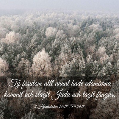 Picture 03 - 2 Krönikeboken 28:17 SV1917 - Ty förutom allt annat hade edoméerna kommit och - Bible Verse Picture