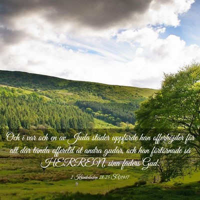 Picture 03 - 2 Krönikeboken 28:25 SV1917 - Och i var och en av Juda städer uppförde han - Bible Verse Picture