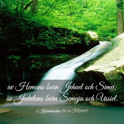 Picture 03 - 2 Krönikeboken 29:14 SV1917 - av Hemans barn Jehuel och Simei; av Jedutuns barn - Bible Verse Picture