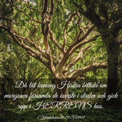 Picture 03 - 2 Krönikeboken 29:20 SV1917 - Då lät konung Hiskia bittida om morgonen - Bible Verse Picture