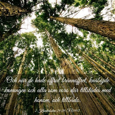 Picture 03 - 2 Krönikeboken 29:29 SV1917 - Och när de hade offrat brännoffret, knäböjde - Bible Verse Picture