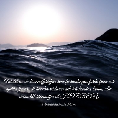 Picture 03 - 2 Krönikeboken 29:32 SV1917 - Antalet av de brännoffersdjur som församlingen - Bible Verse Picture