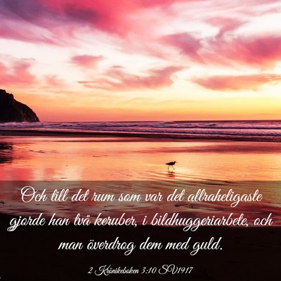 Picture 03 - 2 Krönikeboken 3:10 SV1917 - Och till det rum som var det allraheligaste - Bible Verse Picture