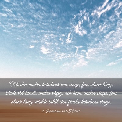 Picture 03 - 2 Krönikeboken 3:12 SV1917 - Och den andra kerubens ena vinge, fem alnar - Bible Verse Picture