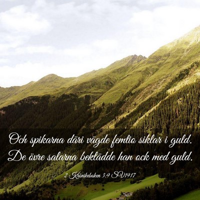 Picture 03 - 2 Krönikeboken 3:9 SV1917 - Och spikarna däri vägde femtio siklar i guld. - Bible Verse Picture