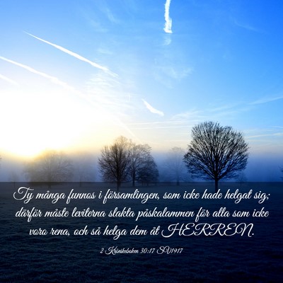 Picture 03 - 2 Krönikeboken 30:17 SV1917 - Ty många funnos i församlingen, som icke hade - Bible Verse Picture