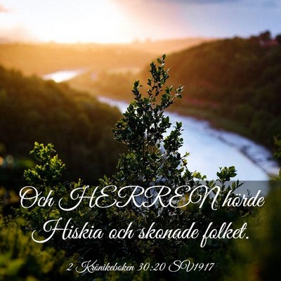 Picture 03 - 2 Krönikeboken 30:20 SV1917 - Och HERREN hörde Hiskia och skonade - Bible Verse Picture