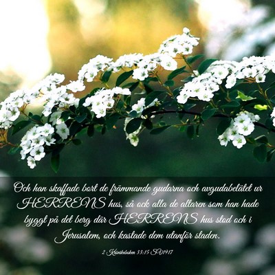Picture 03 - 2 Krönikeboken 33:15 SV1917 - Och han skaffade bort de främmande gudarna och - Bible Verse Picture