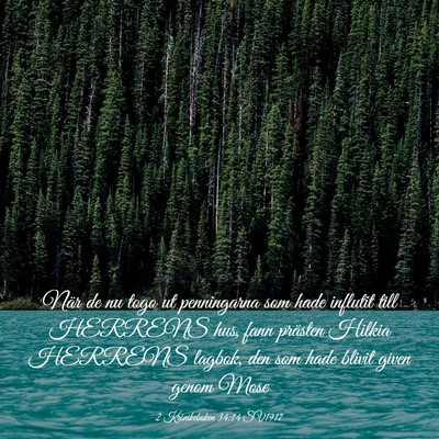 Picture 03 - 2 Krönikeboken 34:14 SV1917 - När de nu togo ut penningarna som hade influtit - Bible Verse Picture