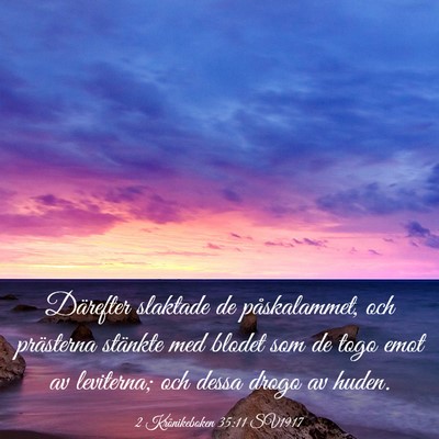 Picture 03 - 2 Krönikeboken 35:11 SV1917 - Därefter slaktade de påskalammet, och - Bible Verse Picture