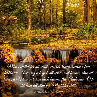 Picture 03 - 2 Krönikeboken 35:22 SV1917 - Men i stället för att vända om och lämna - Bible Verse Picture