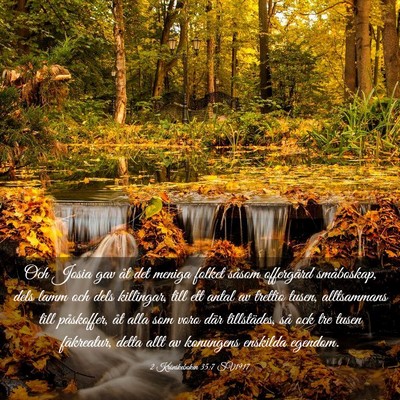 Picture 03 - 2 Krönikeboken 35:7 SV1917 - Och Josia gav åt det meniga folket såsom - Bible Verse Picture