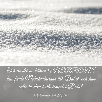 Picture 03 - 2 Krönikeboken 36:7 SV1917 - Och en del av kärlen i HERRENS hus förde - Bible Verse Picture