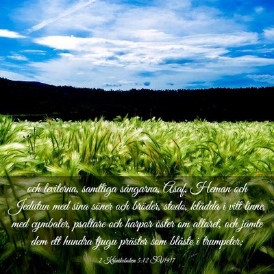Picture 03 - 2 Krönikeboken 5:12 SV1917 - och leviterna, samtliga sångarna, Asaf, Heman - Bible Verse Picture