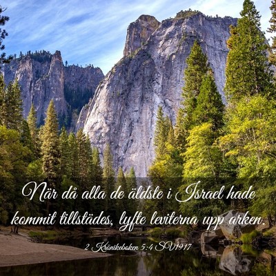 Picture 03 - 2 Krönikeboken 5:4 SV1917 - När då alla de äldste i Israel hade kommit - Bible Verse Picture