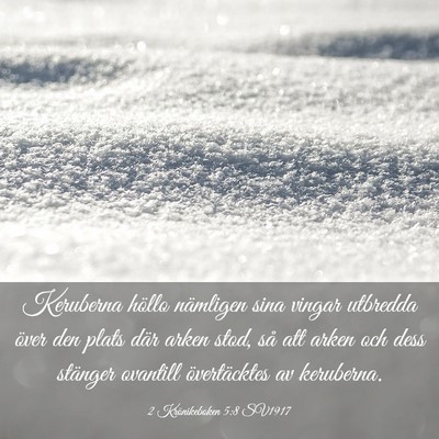 Picture 03 - 2 Krönikeboken 5:8 SV1917 - Keruberna höllo nämligen sina vingar utbredda - Bible Verse Picture