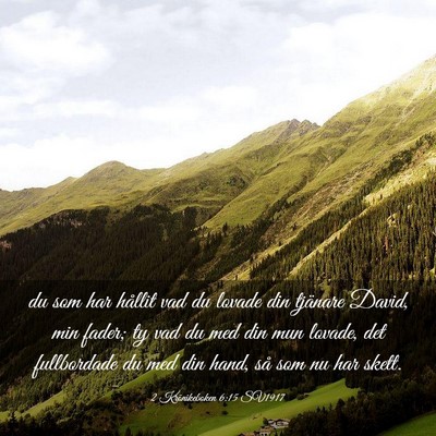 Picture 03 - 2 Krönikeboken 6:15 SV1917 - du som har hållit vad du lovade din tjänare - Bible Verse Picture