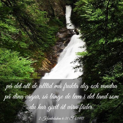 Picture 03 - 2 Krönikeboken 6:31 SV1917 - på det att de alltid må frukta dig och vandra - Bible Verse Picture