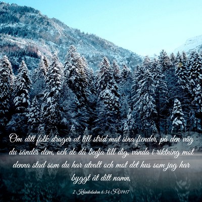 Picture 03 - 2 Krönikeboken 6:34 SV1917 - Om ditt folk drager ut till strid mot sina - Bible Verse Picture