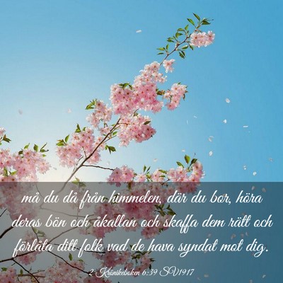 Picture 03 - 2 Krönikeboken 6:39 SV1917 - må du då från himmelen, där du bor, höra - Bible Verse Picture