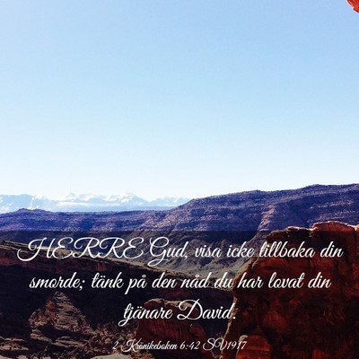 Picture 03 - 2 Krönikeboken 6:42 SV1917 - HERRE Gud, visa icke tillbaka din smorde; tänk - Bible Verse Picture