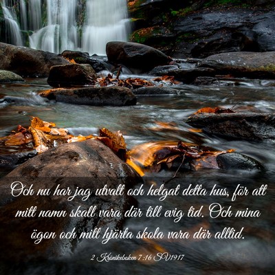 Picture 03 - 2 Krönikeboken 7:16 SV1917 - Och nu har jag utvalt och helgat detta hus, för - Bible Verse Picture