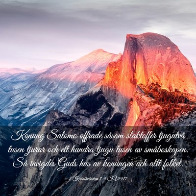 Picture 03 - 2 Krönikeboken 7:5 SV1917 - Konung Salomo offrade såsom slaktoffer tjugutvå - Bible Verse Picture