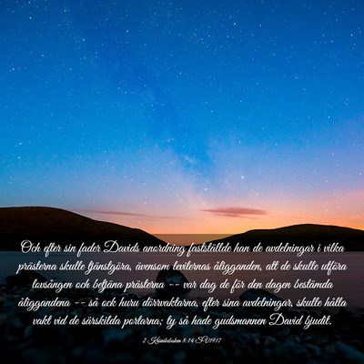 Picture 03 - 2 Krönikeboken 8:14 SV1917 - Och efter sin fader Davids anordning fastställde - Bible Verse Picture