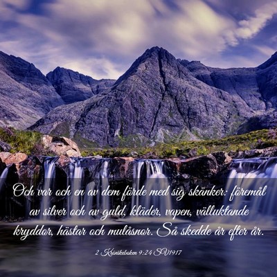 Picture 03 - 2 Krönikeboken 9:24 SV1917 - Och var och en av dem förde med sig skänker: - Bible Verse Picture