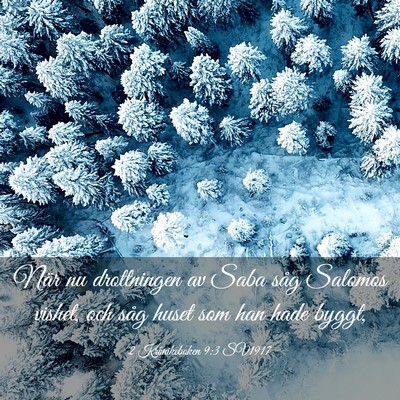 Picture 03 - 2 Krönikeboken 9:3 SV1917 - När nu drottningen av Saba såg Salomos vishet, - Bible Verse Picture