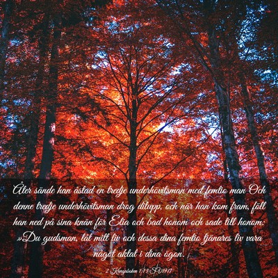 Picture 03 - 2 Kungaboken 1:13 SV1917 - Åter sände han åstad en tredje underhövitsman - Bible Verse Picture