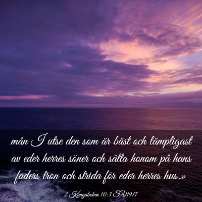 Picture 03 - 2 Kungaboken 10:3 SV1917 - mån I utse den som är bäst och lämpligast av - Bible Verse Picture