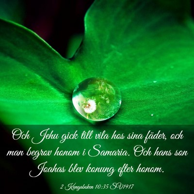 Picture 03 - 2 Kungaboken 10:35 SV1917 - Och Jehu gick till vila hos sina fäder, och man - Bible Verse Picture