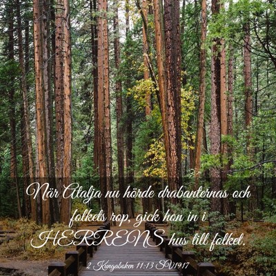 Picture 03 - 2 Kungaboken 11:13 SV1917 - När Atalja nu hörde drabanternas och folkets - Bible Verse Picture