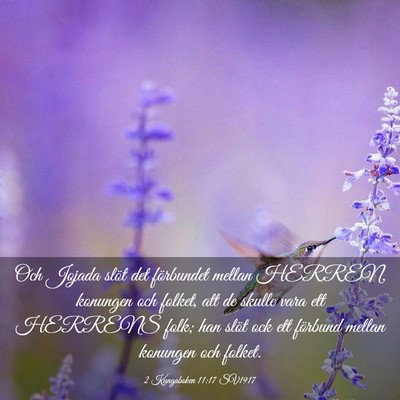 Picture 03 - 2 Kungaboken 11:17 SV1917 - Och Jojada slöt det förbundet mellan HERREN, - Bible Verse Picture