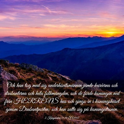 Picture 03 - 2 Kungaboken 11:19 SV1917 - Och han tog med sig underhövitsmännen jämte - Bible Verse Picture