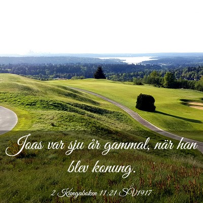 Picture 03 - 2 Kungaboken 11:21 SV1917 - Joas var sju år gammal, när han blev - Bible Verse Picture