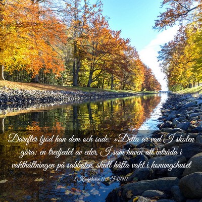 Picture 03 - 2 Kungaboken 11:5 SV1917 - Därefter bjöd han dem och sade: »Detta är vad - Bible Verse Picture